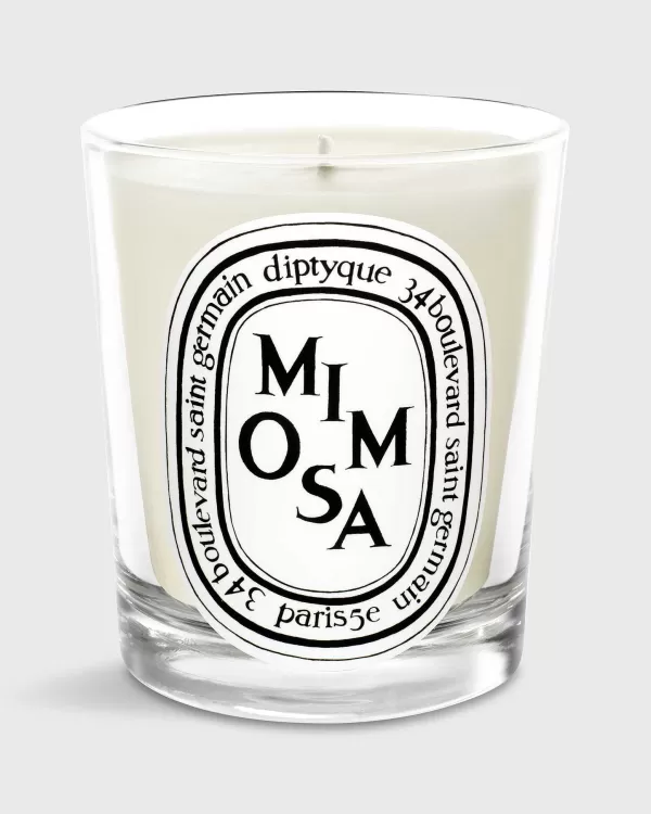 Sale Diptyque Classic Scented Candle Mimosa